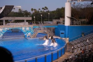 Florida Attractions Adults