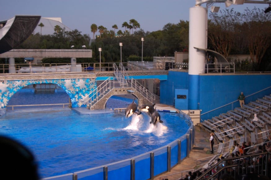 Orlando Attractions For Families